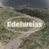 TOKYO RAVE GROUPIE - Edelweiss - Single